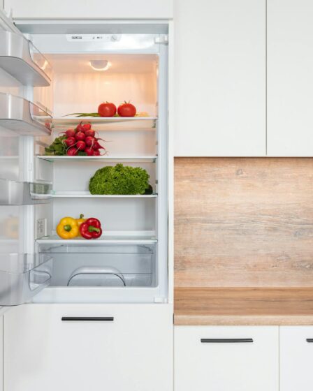 fridge with different vegetable in modern kitchen