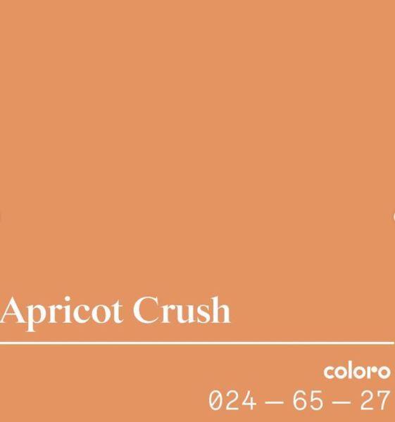 Apricot Crush - Cor do ano de 2024 - A Cor que Iluminará o Seu Ano ...