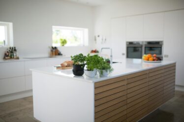 green leafed plants on kitchen island